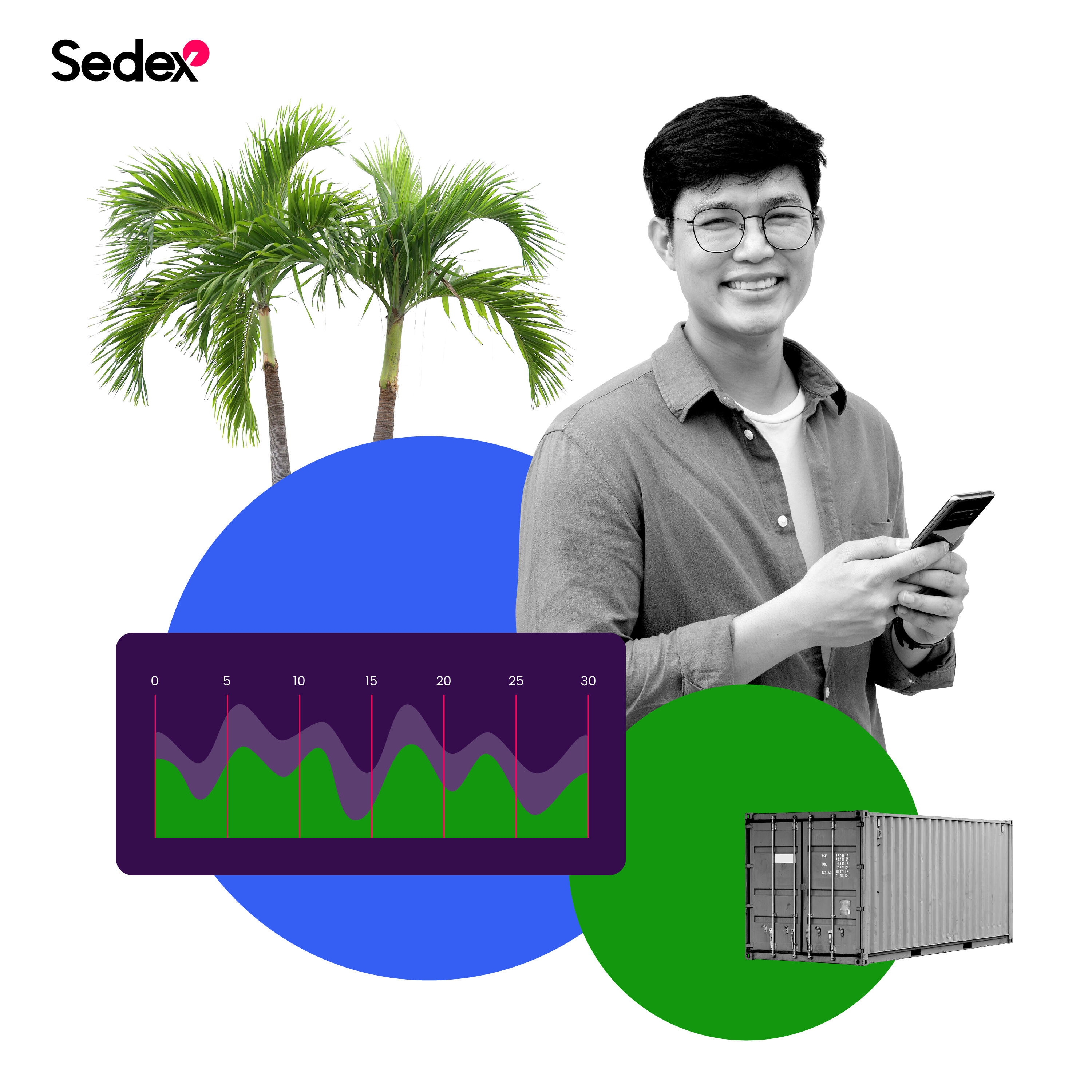Hình ảnh giới thiệu thành viên Sedex, gồm logo Sedex, nhân vật và cây xanh